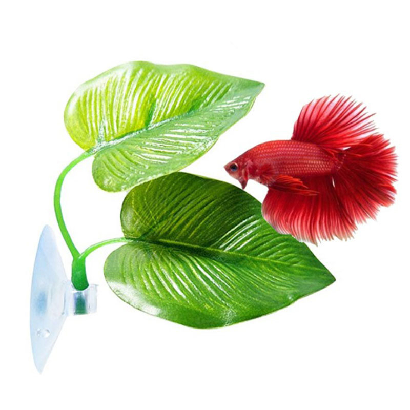 Betta Vis Rust Aquarium Bladpl - Planted Aquarium Betta recensie en prijs