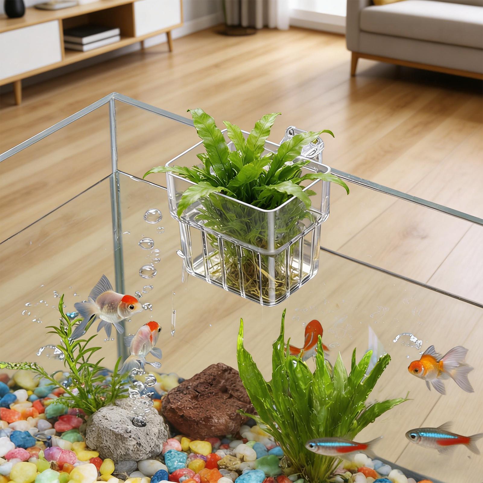 Aquarium transparante hangpot, - Aquarium Planted Fish Tank recensie en prijs