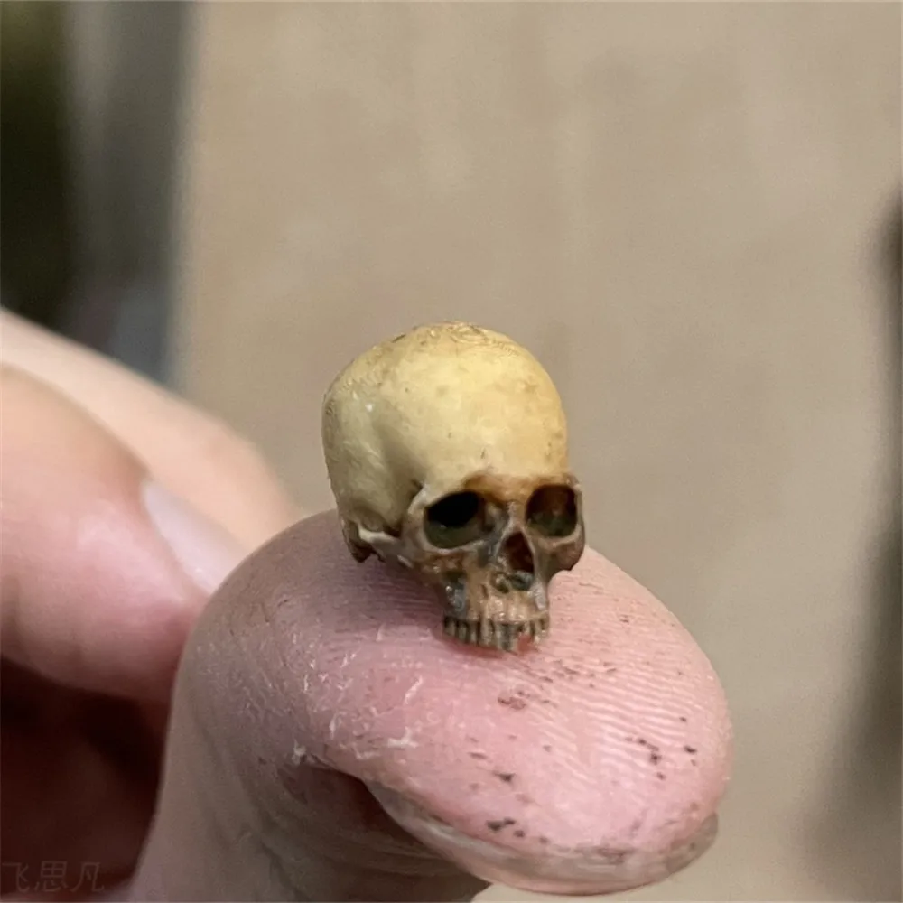 Mini Skull Hoge kwaliteit mini - Aquarium Plant Display recensie en prijs