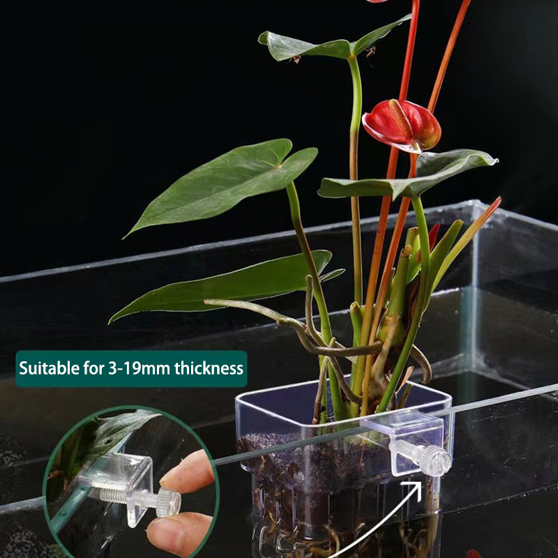 Multifunctionele Vis Aquarium  - Aquarium Planted Fish Tank recensie en prijs