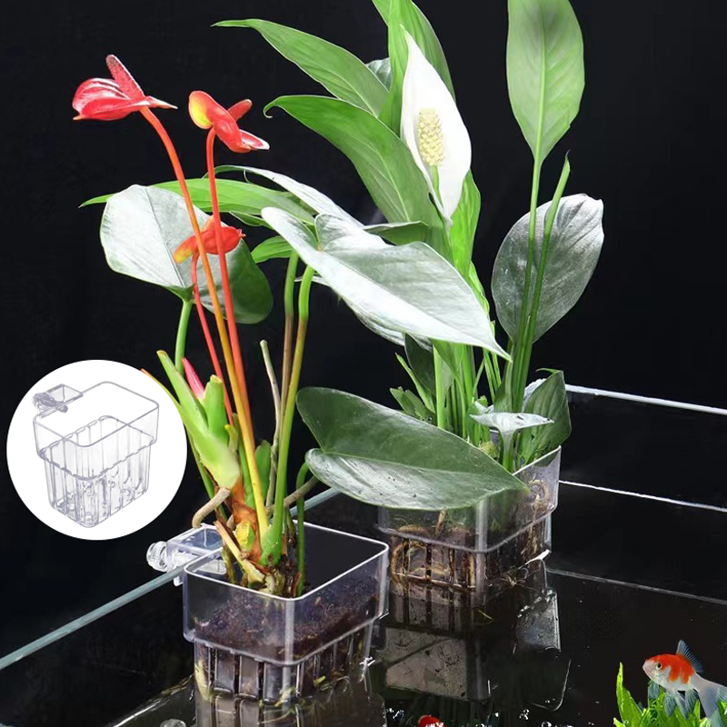 Multifunctionele Vis Aquarium  - Aquarium Planted Fish Tank recensie en prijs
