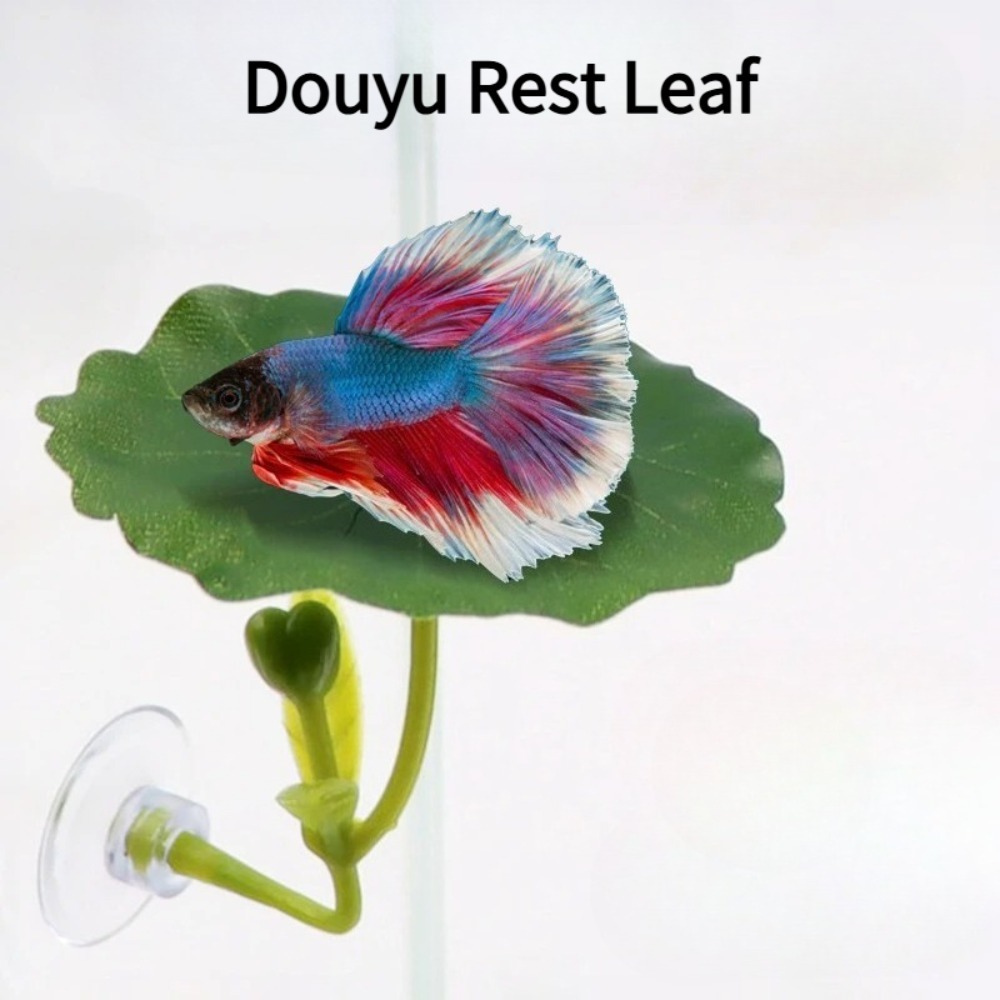 1 stuks groene blad betta vis  - Planted Aquarium Betta recensie en prijs