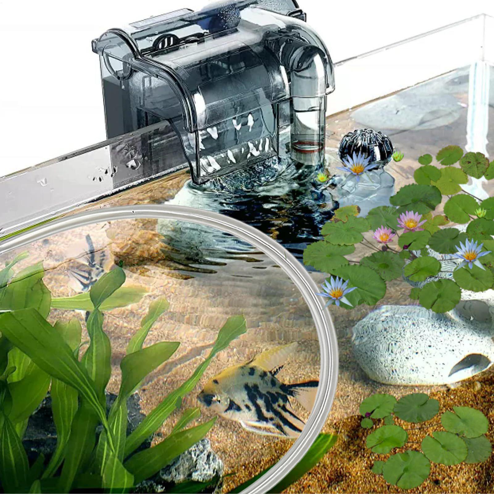 Aquarium drijvende plantenbarr - Planted Aquarium Betta recensie en prijs