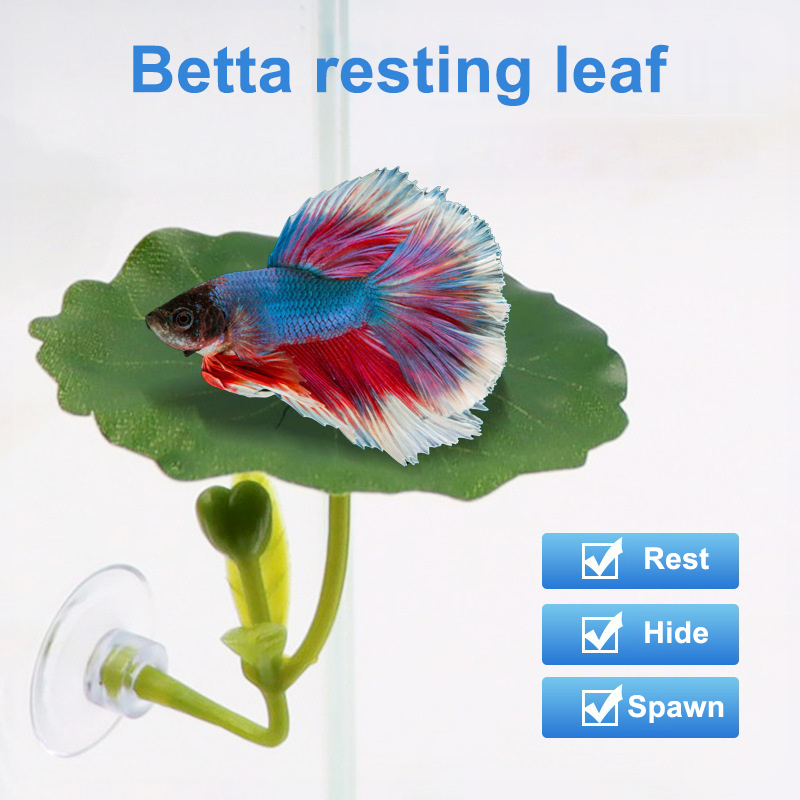 1 Pc Voor Betta Vis Stressverm - Planted Aquarium Betta recensie en prijs