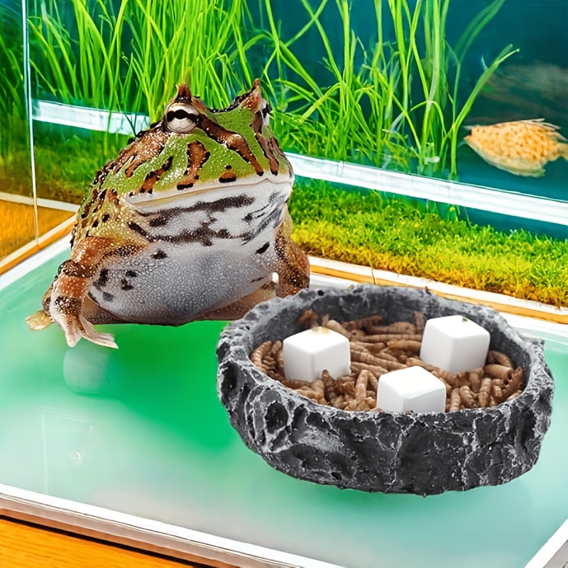 6 Stuks Aquarium Calcium Blok  - Aquarium Plant Roots recensie en prijs