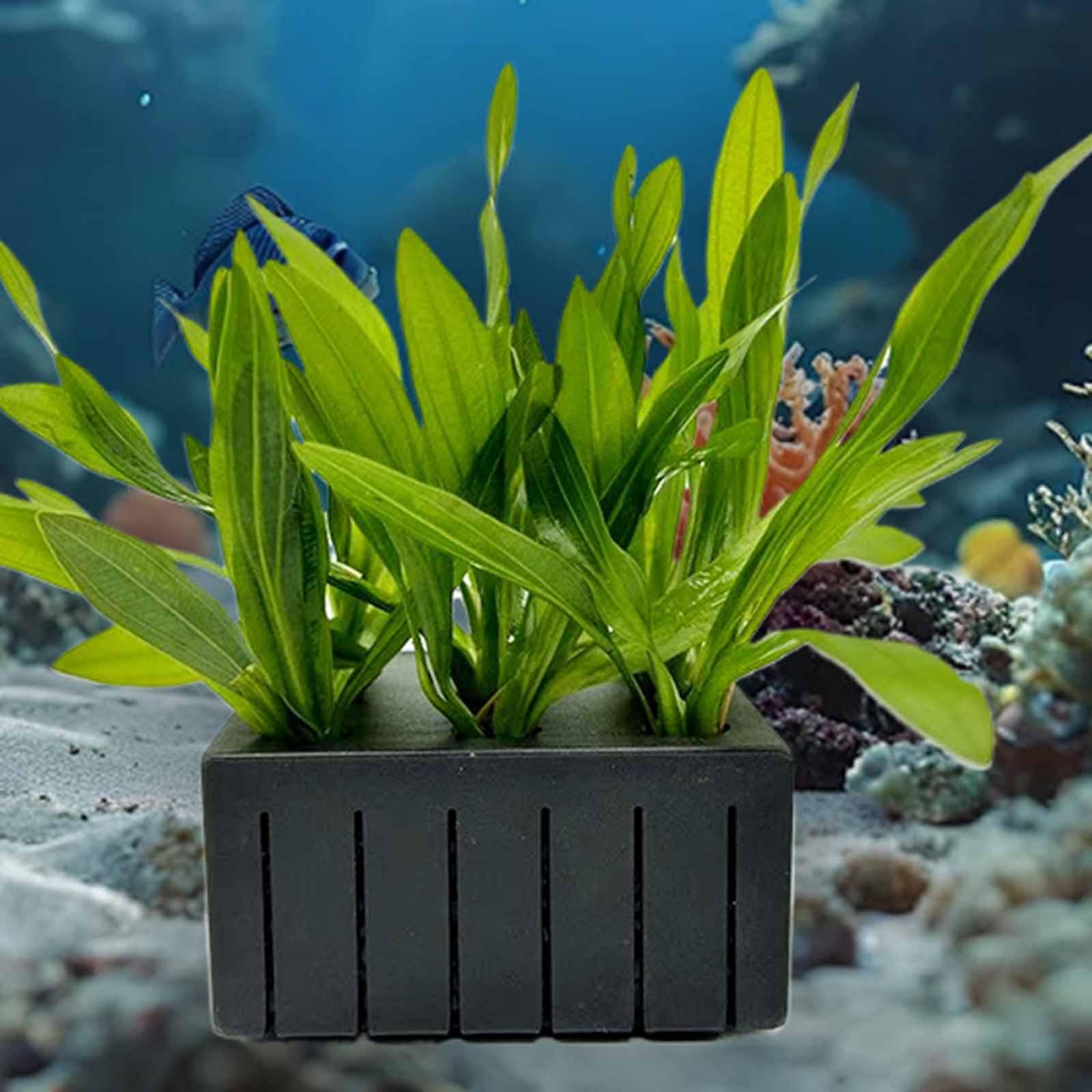 Aquarium Plant Mand PP Plastic - Planted Aquarium Mini recensie en prijs