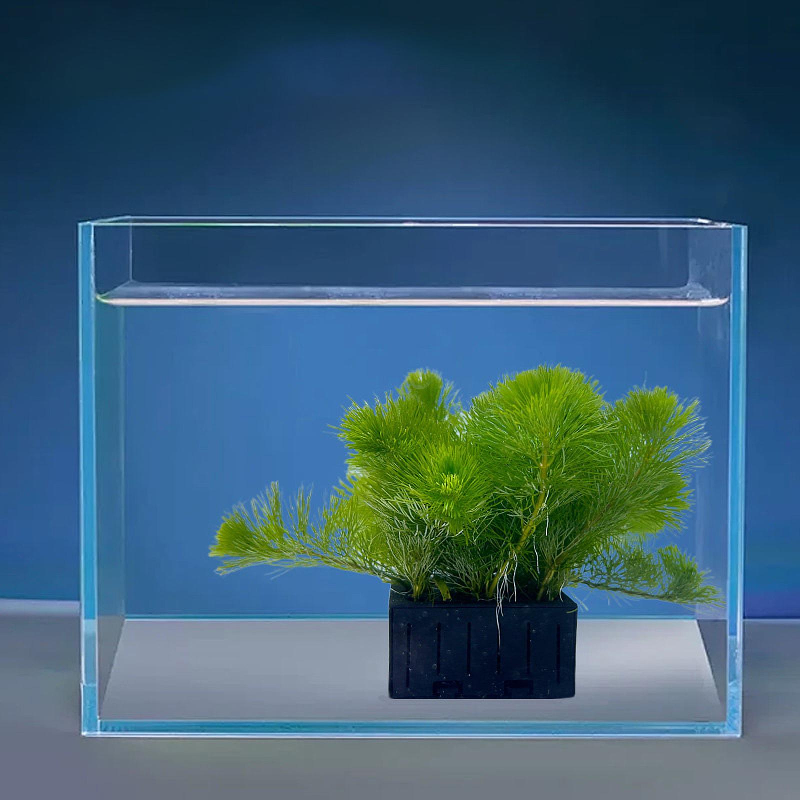 Aquarium Plant Mand PP Plastic - Planted Aquarium Mini recensie en prijs