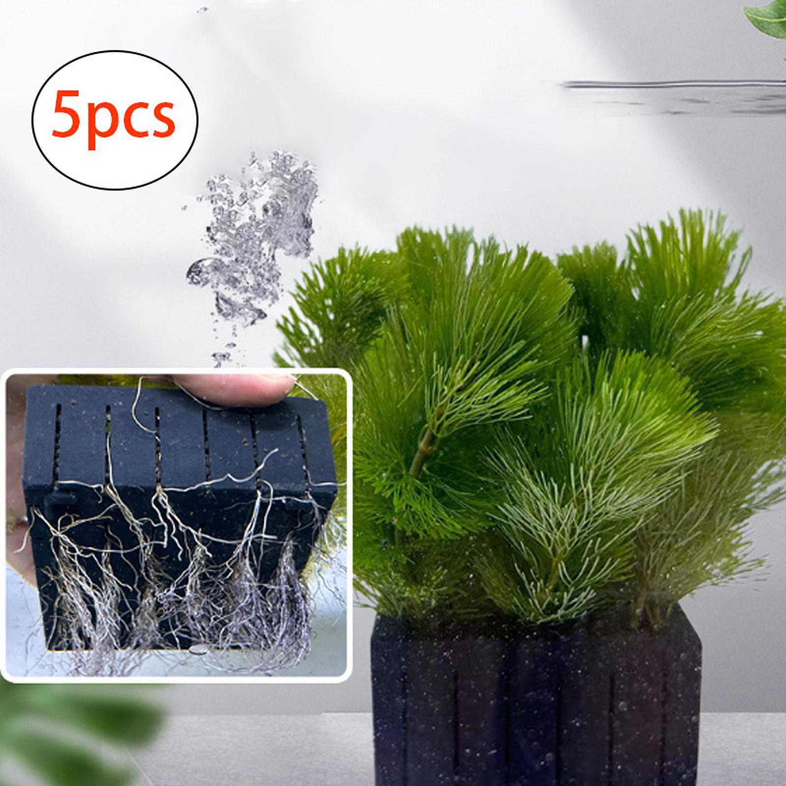 Aquarium Plant Mand PP Plastic - Planted Aquarium Mini recensie en prijs